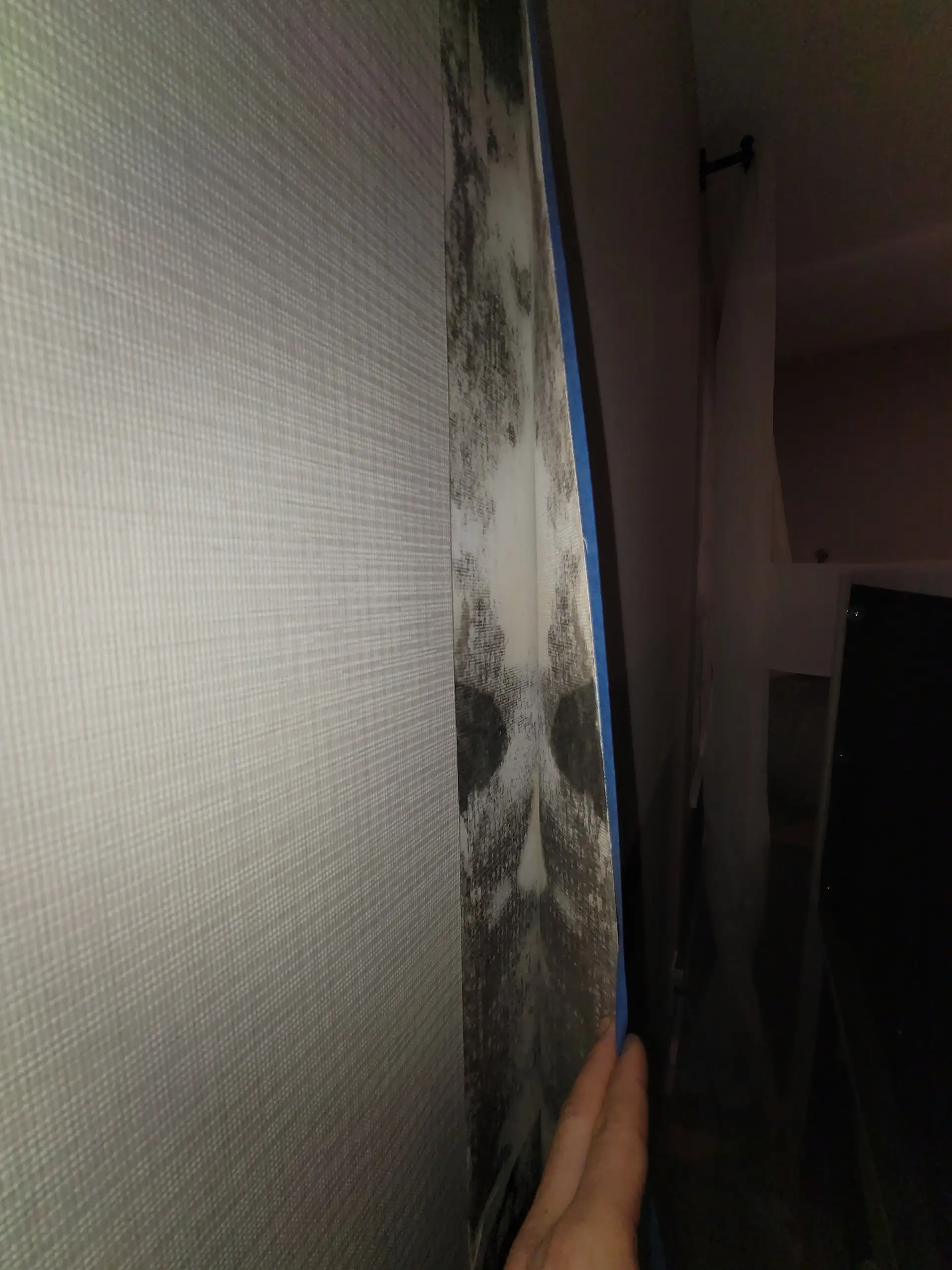 Hidden mold discovered during professional inspection in South Florida home - why testing matters